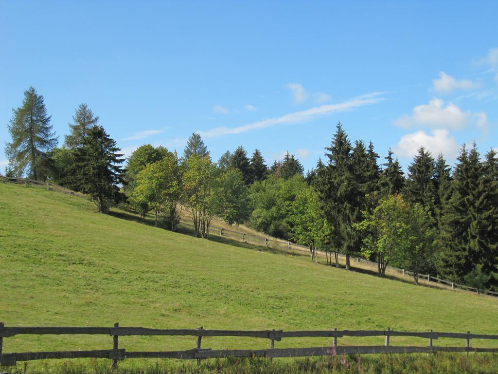 Ferienanlage Harzfreunde Allrode Esterno foto